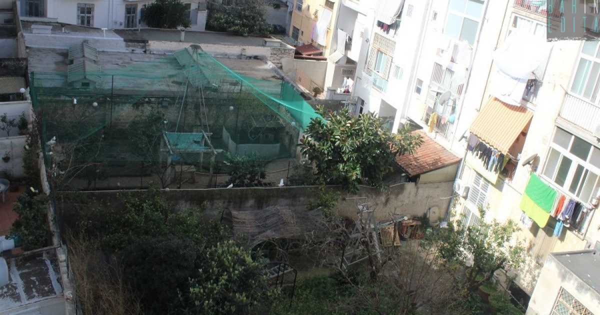 Giardini, pozzi e voliere: tra i palazzi di Madonnella c'� una "campagna" nascosta